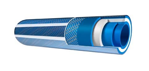 Rodavigo neohose
