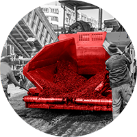 asphalt-machines-oleoweb