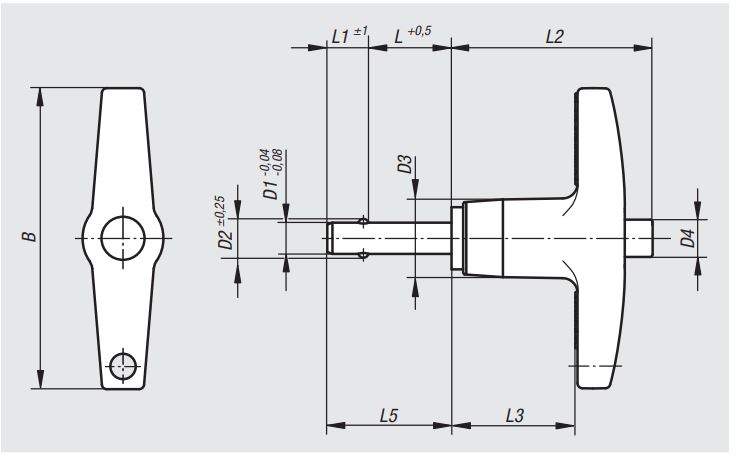 BALL LOCKING PIN WITH SELF-LOCKING T-HANDLE D1= 12 L= 40  REF. NORELEM 03196-25812040